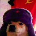 Frijolito25