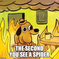 froggyrulez