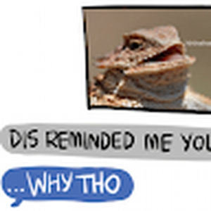 frogo