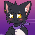 ☆☾Frost The Cat☽☆