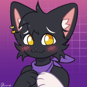☆☾Frost The Cat☽☆