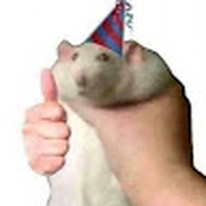 Froxsam