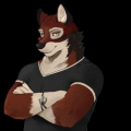 furrydude67