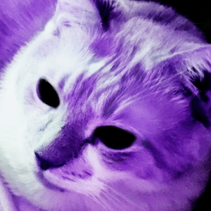 Fuzzy Dovely