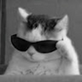 fxrhxyx