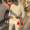 luh_dt1