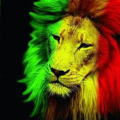 Ras Gab'