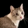 gabygummy