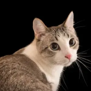 gabygummy