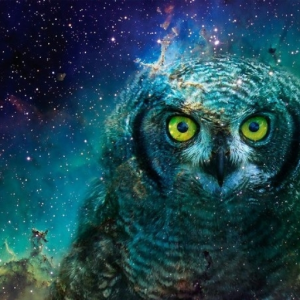 GalaxiOwl