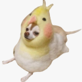 gamingbird
