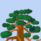 gassereto_stasnapa_com