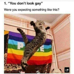 gaypackofskittles