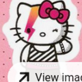 gaypossumaaa