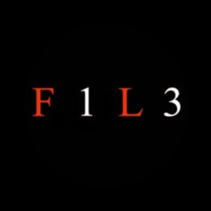 FILE13