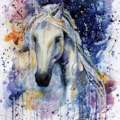 FernTheWolfHorse