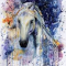 FernTheWolfHorse