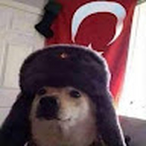 GexsTR