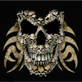 ghost24
