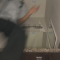$olo