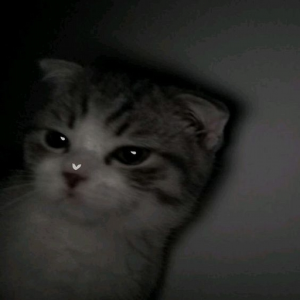 ghostified