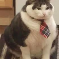GhostlyBab