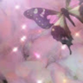 girarde4_cssdd_ca