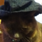 Girlyrochcats413