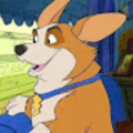 CynicalCorgi