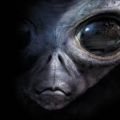 GMartian254
