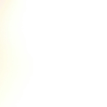 gmassiametta_gmail_com