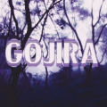 Gojira