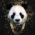 goldenpanda2405_adair