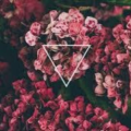 Goldenpineapple26