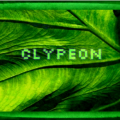 Clypeon