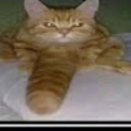 goobatrash