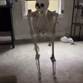GOOOOOOOOOOOOOOOOOOOO