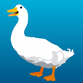 Goose23