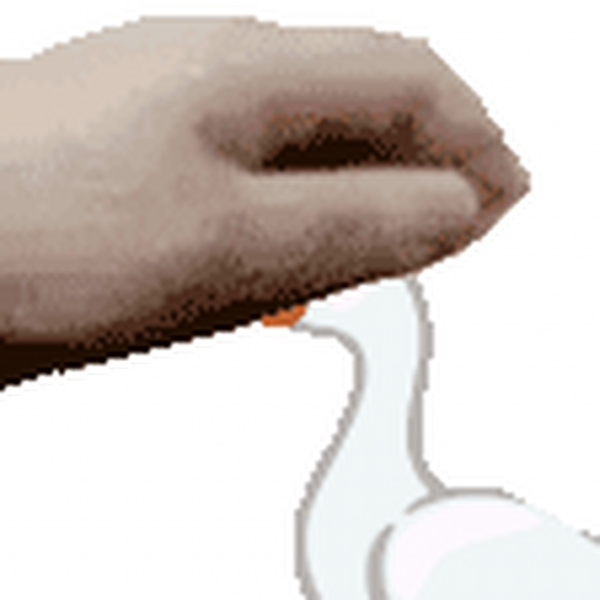 GooseKing887