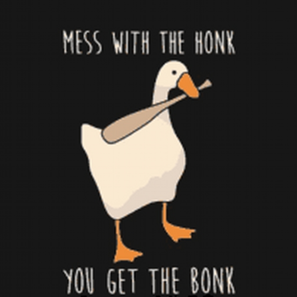 GooseOrGeeseGuy