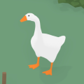 gooseshoes