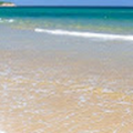gracempapa_gmail_com