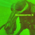 grandmasterX