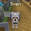 Sven