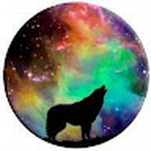 GrayWolfboy