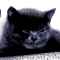 Grigor_ix
