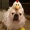 grpreston_wlbschools_com