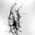 guimauve