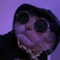 Guy67