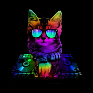hackma72_gmail_com